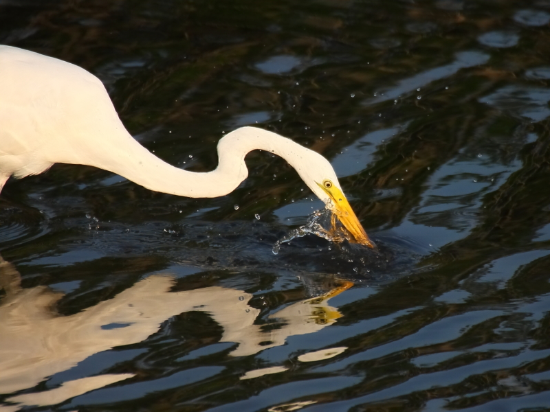 2013 06 21 IMG 11439e
